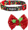 Christmas Holly Dog Collar with Bowtie, Small Adjustable 12"-16" Neck, Holiday Collar for Small Dogs