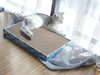 Cat Scratcher Padpal Cat Scratching Board, Cardboard Scratcher with Catnip for Indoor, Flat Scratch Board Scratch Pad Cardboard for Kitten, Extra Wide, 3Pack