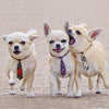 Dog Ties for Large Dogs, Pet Neck Tie, with Adjustable Collar, Bulk Bow Ties Bowties Necktie Grooming Accessories for Girl Boy Dog Valentines Holiday Birthday Wedding Cosplay Costumes