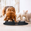 Dog/Cat Slow Feeder Bowl Insert, Slow down Pet Eating, Soft Silicone Slow Feeding for Small Medium Size, Perfect with Stainless Steel Plastic Glass Ceramic Dog Bowls